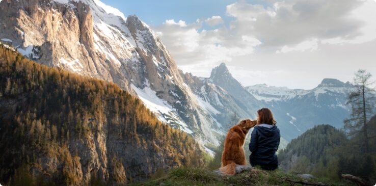 Eventi e attività pet friendly