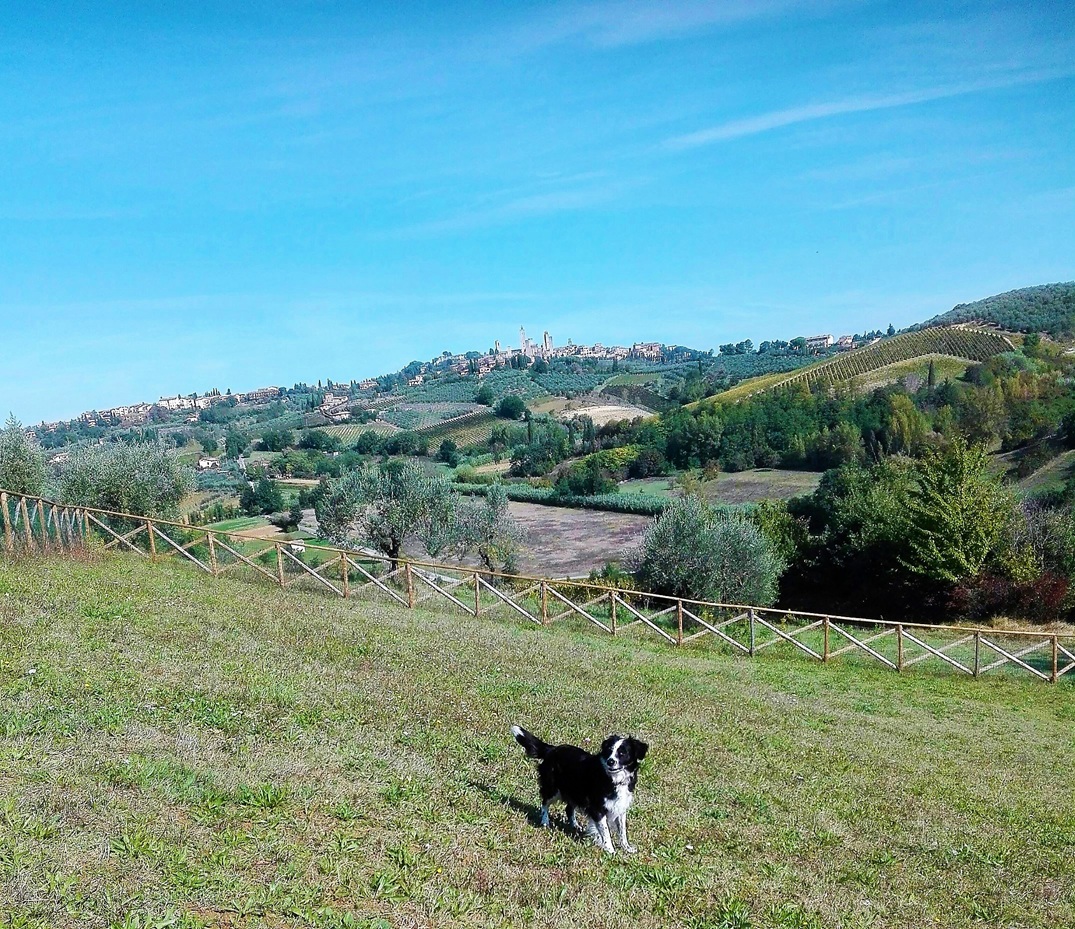 Agriturismo Poggiacolle, foto 4 di 14