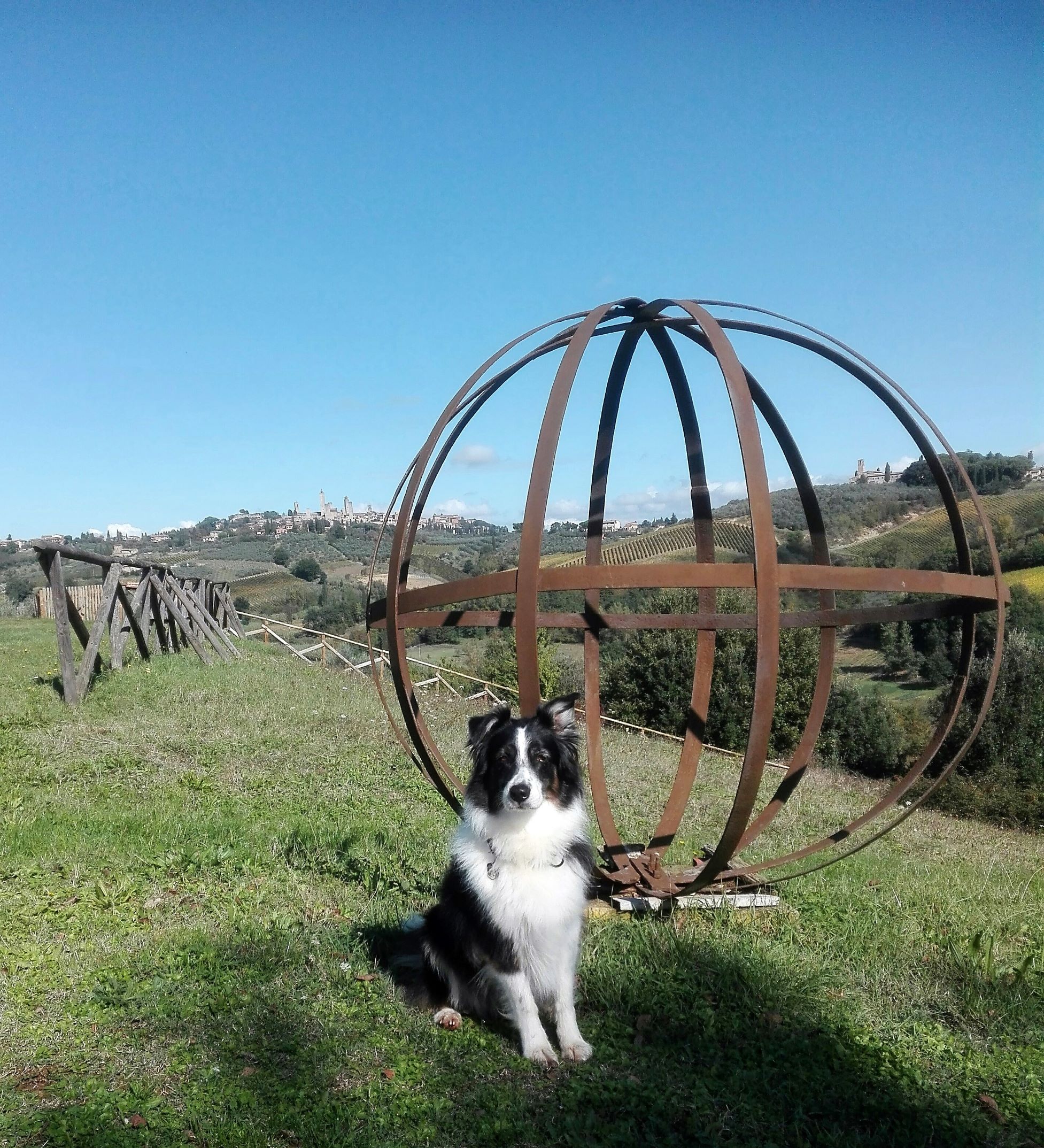 Agriturismo Poggiacolle, foto 11 di 14