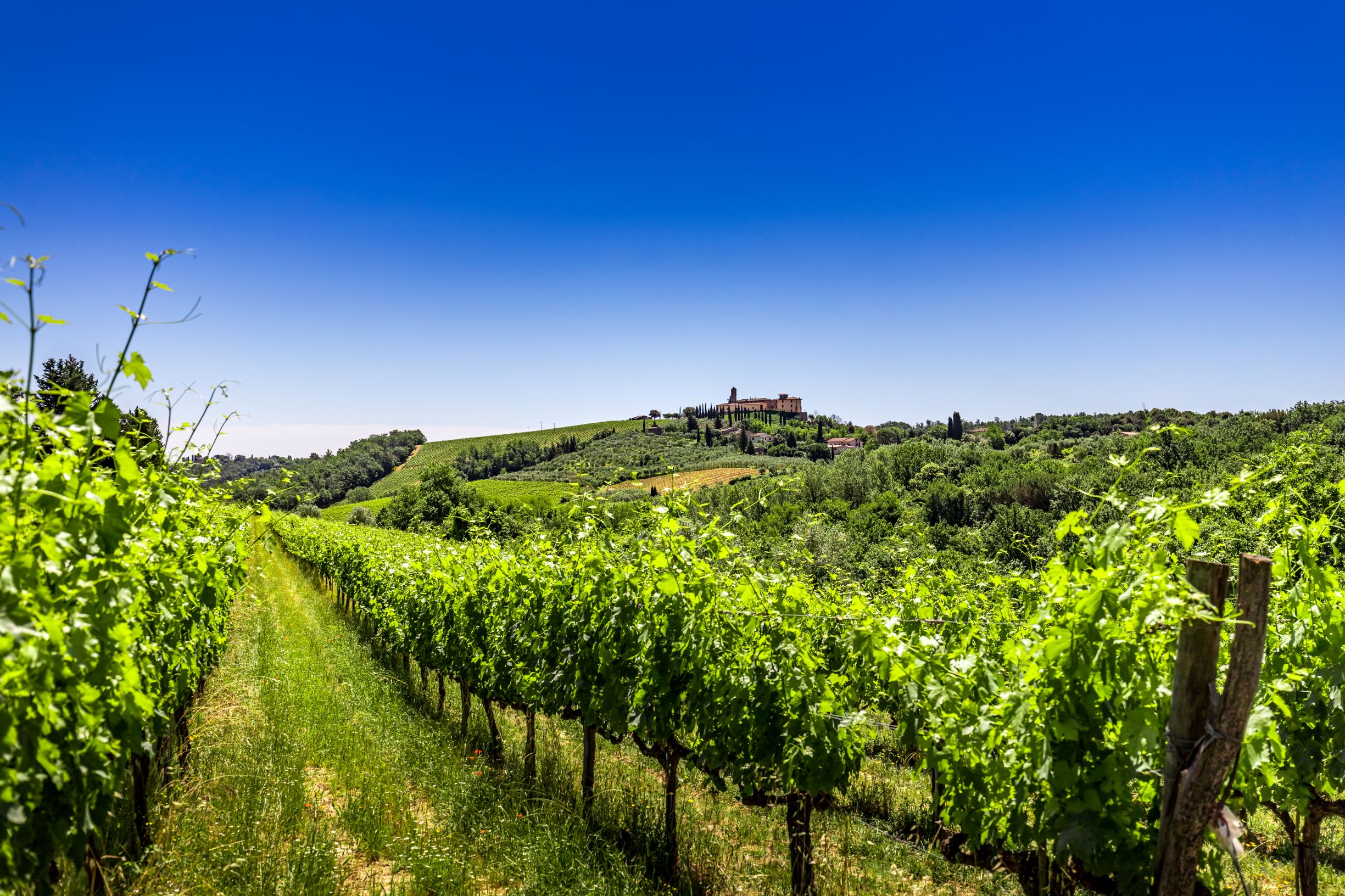 Agriturismo Poggiacolle, foto 5 di 14